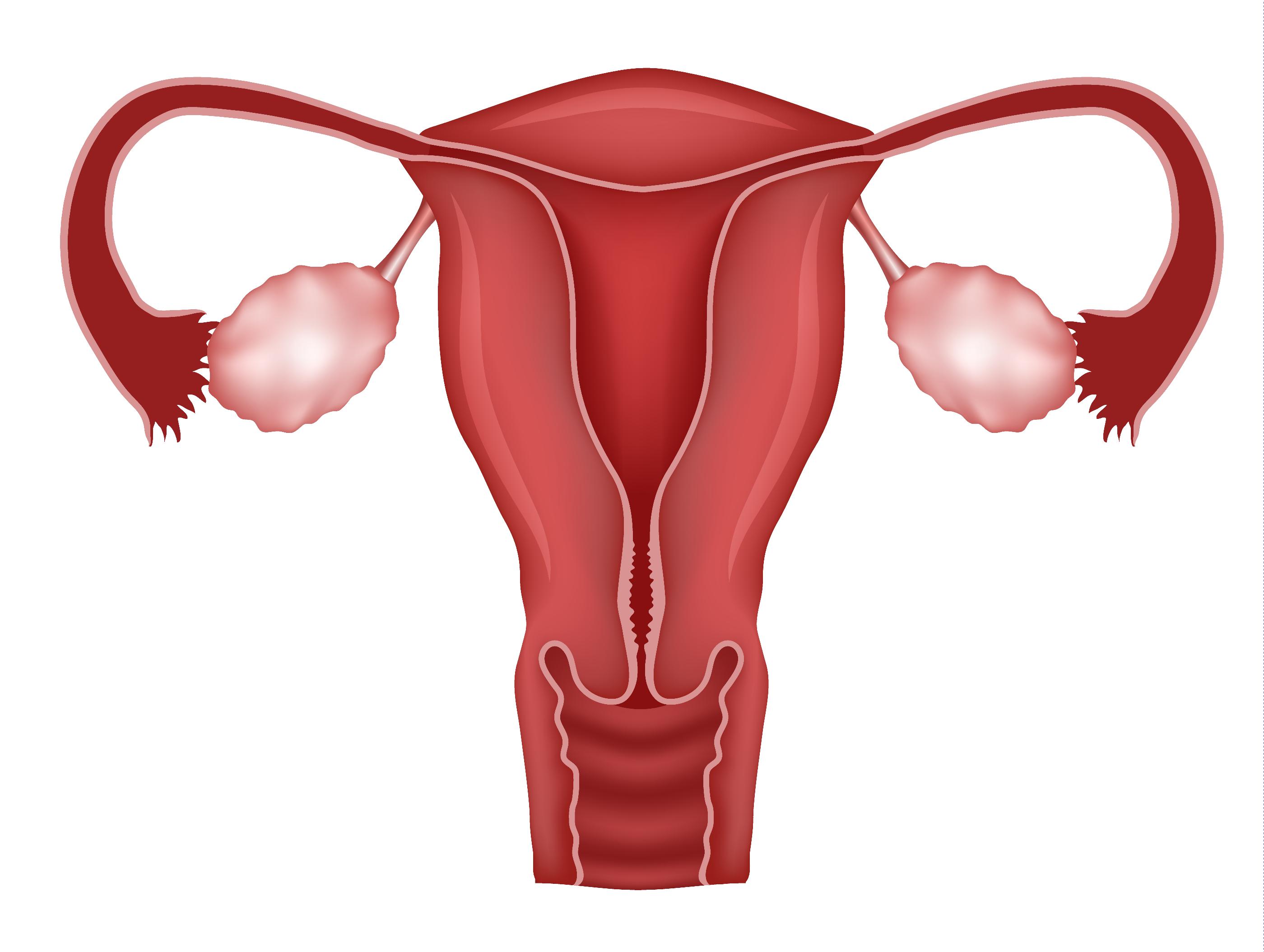 Апоплексия яичника гинекология
